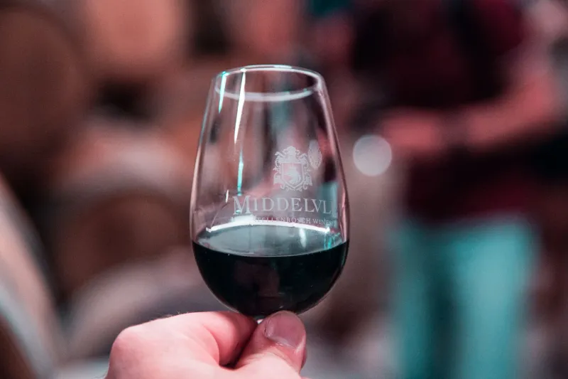 Drink Like a Professional: The Sensory Discipline Behind Expert Wine Evaluation