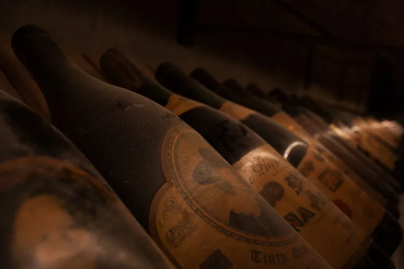 Same Label, Different Wine: How Time and Vintage Variation Can Betray Your Next Purchase